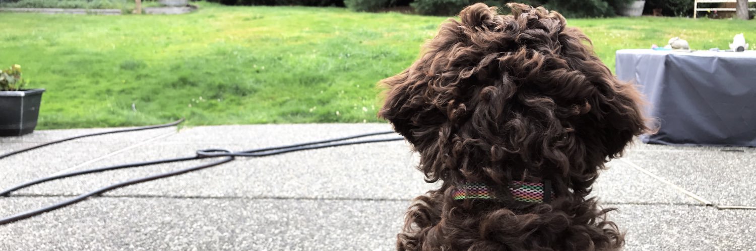 KeileyMariah's profile banner image