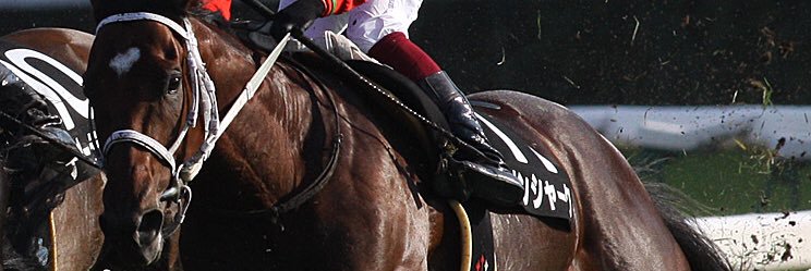 whatsgamble's profile banner image