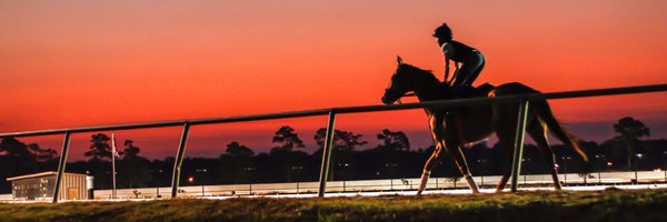 horsemandon Profile Banner