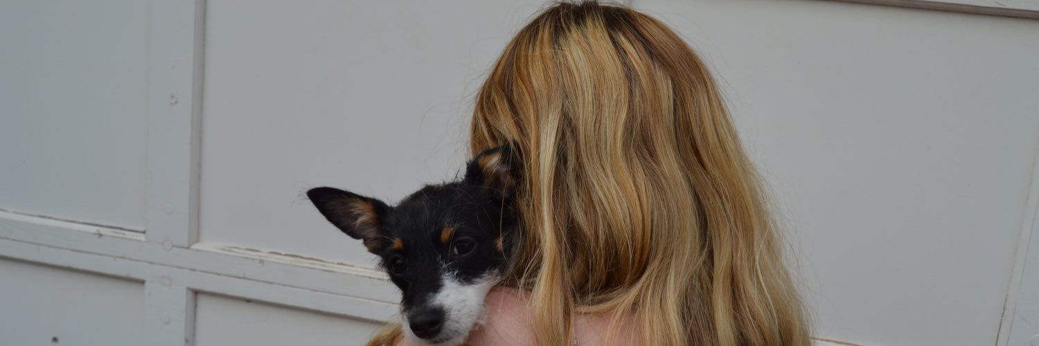 taylor_ldr's profile banner image