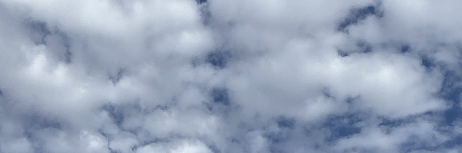 AngeliqueOlvera's profile banner image