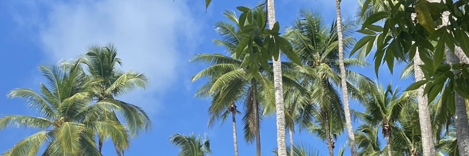 danigarbanzos29's profile banner image