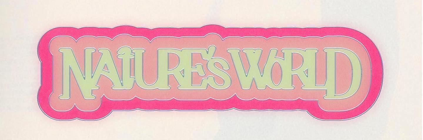 KlevahKnox's profile banner image