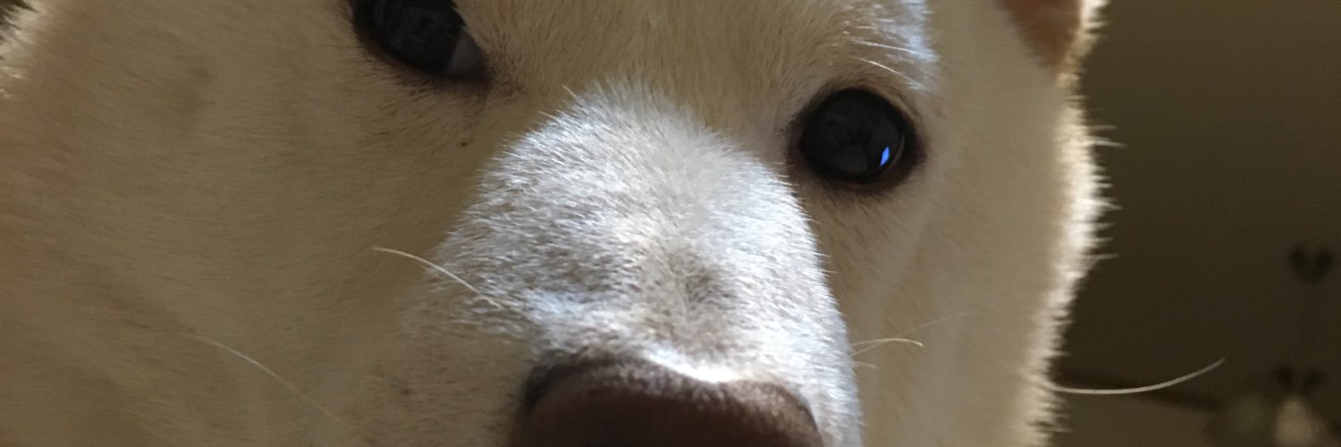 24Chia12's profile banner image
