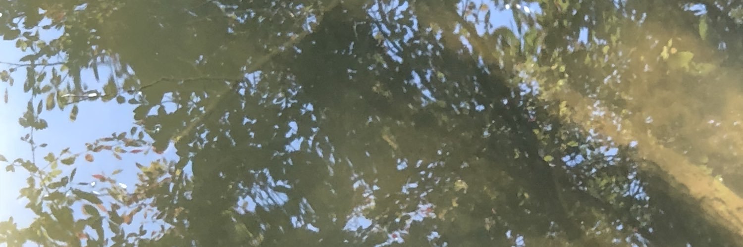 mrssaff's profile banner image