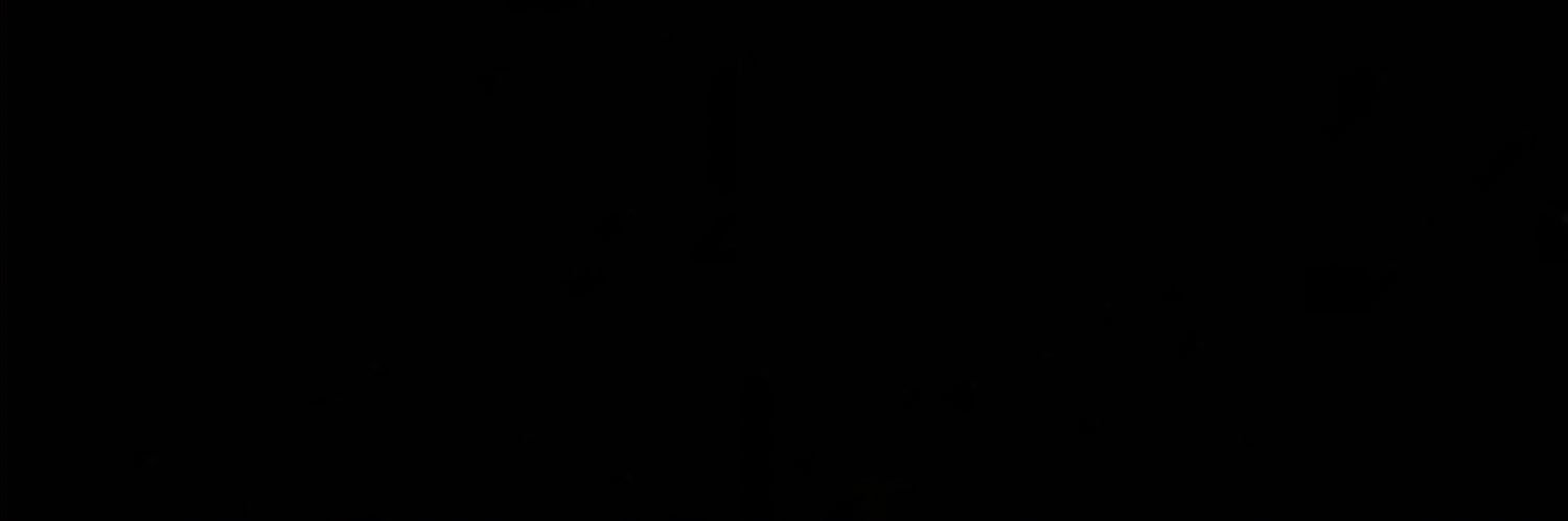 _paphin's profile banner image