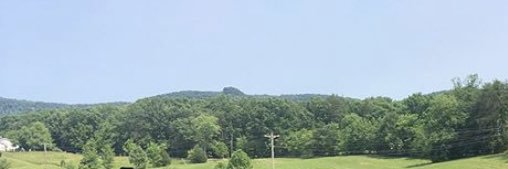 Brandon Rutherford banner