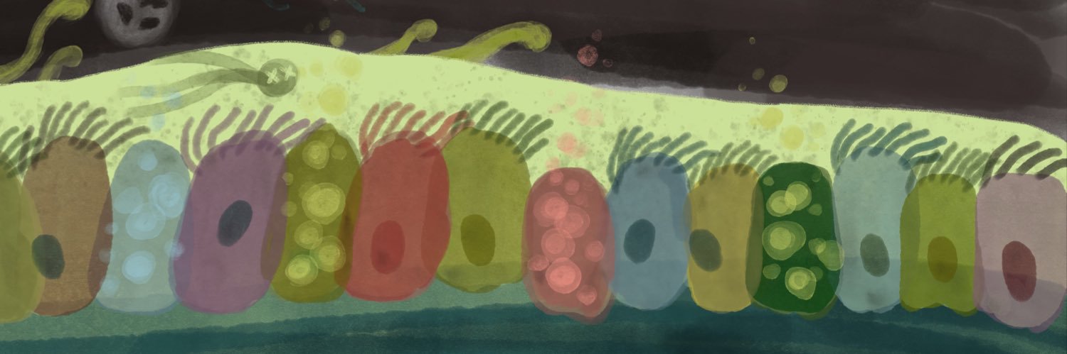Hippo326's profile banner image