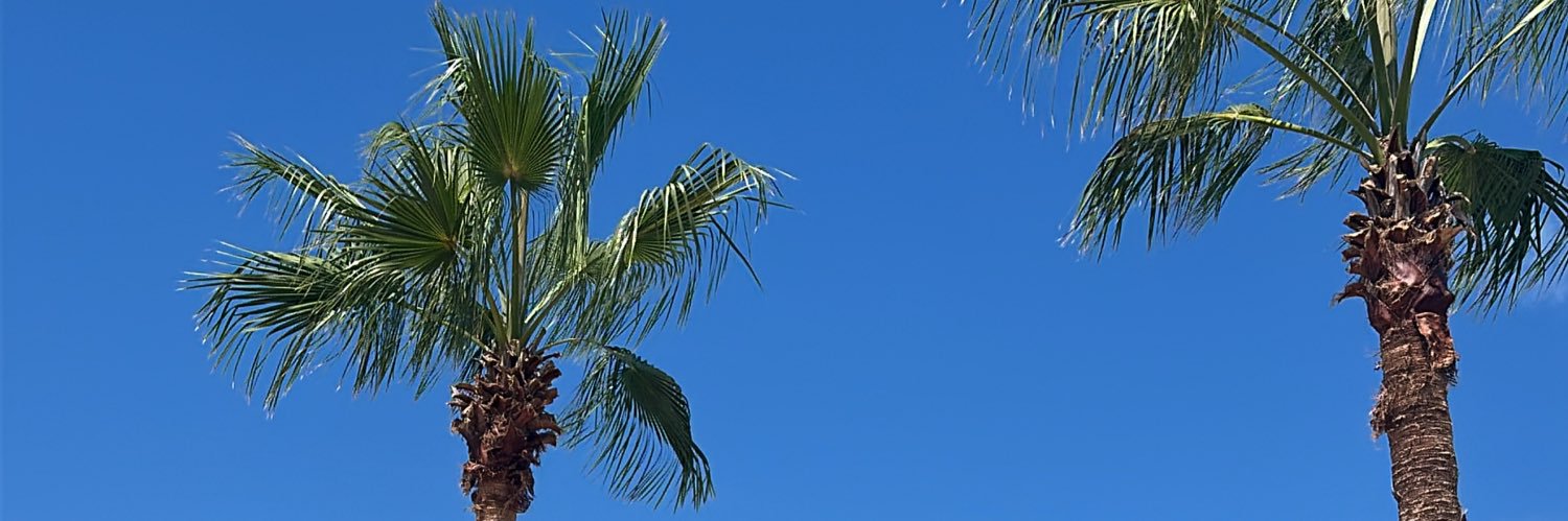 poncho_1998's profile banner image