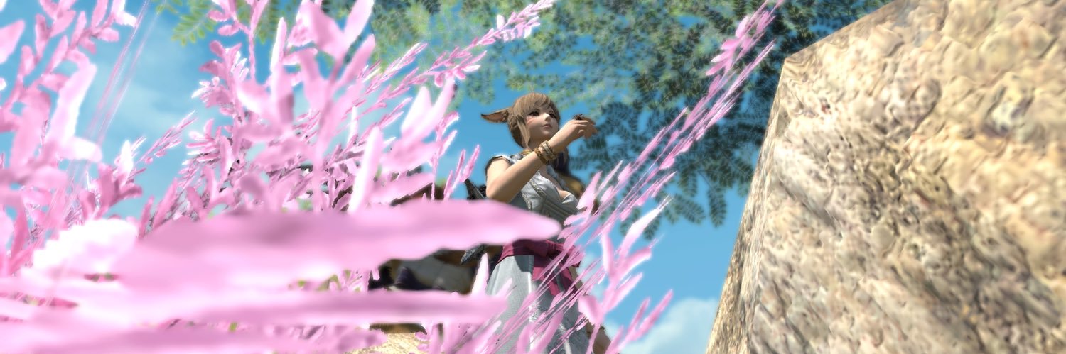 Lui_dqx's profile banner image