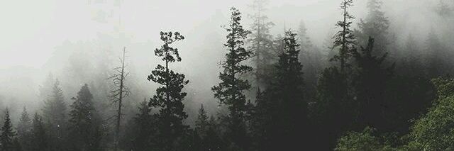NLEOON_'s profile banner image