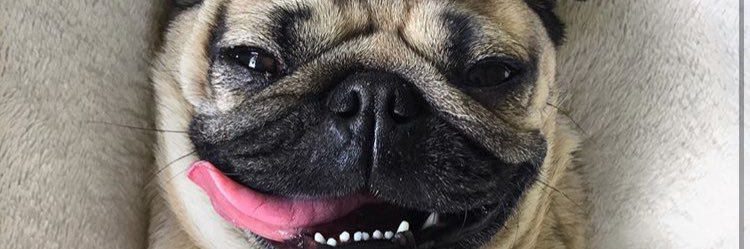 caitlinnburrows's profile banner image