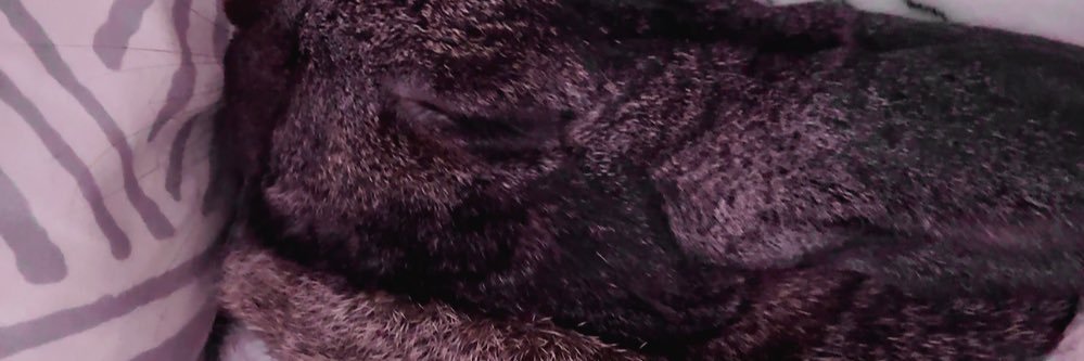 Dihsaster's profile banner image