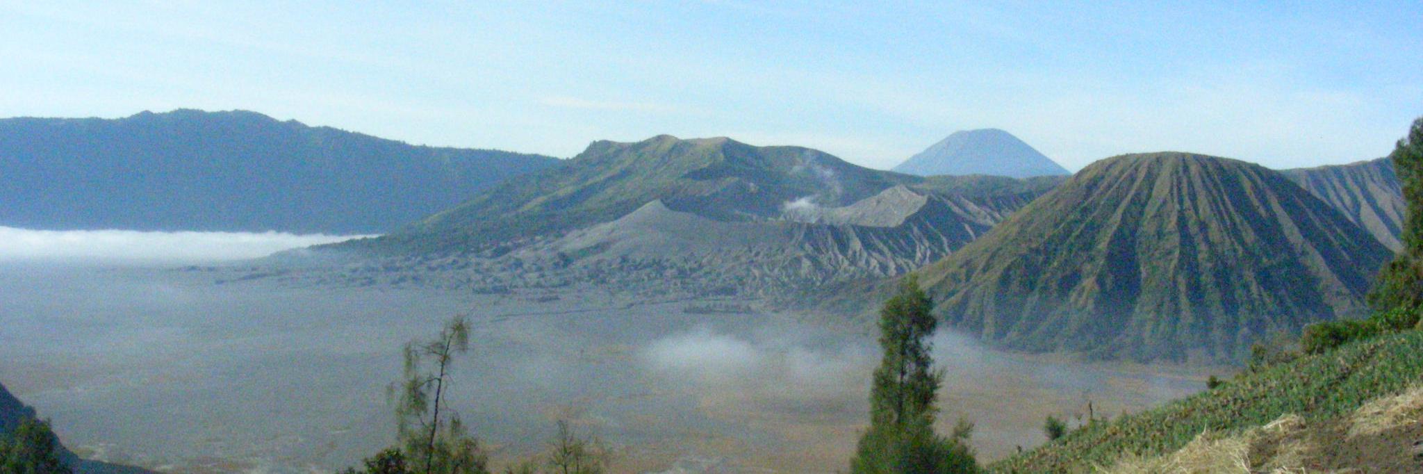 Molnár Dániel banner