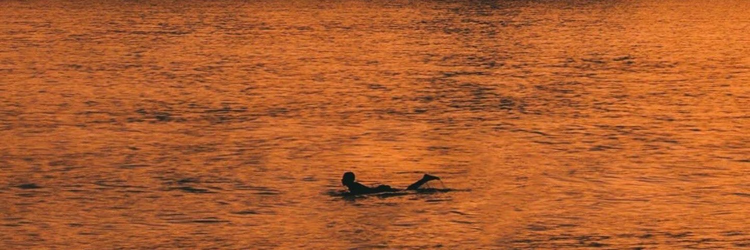 eulucassousa's profile banner image