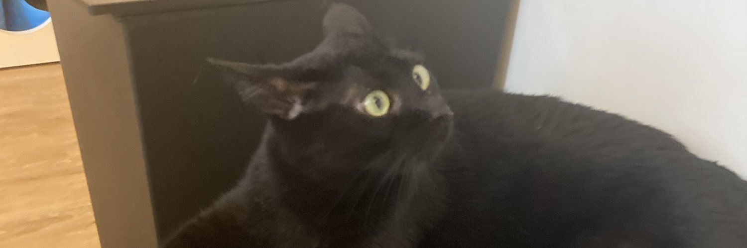 twinkleRN's profile banner image
