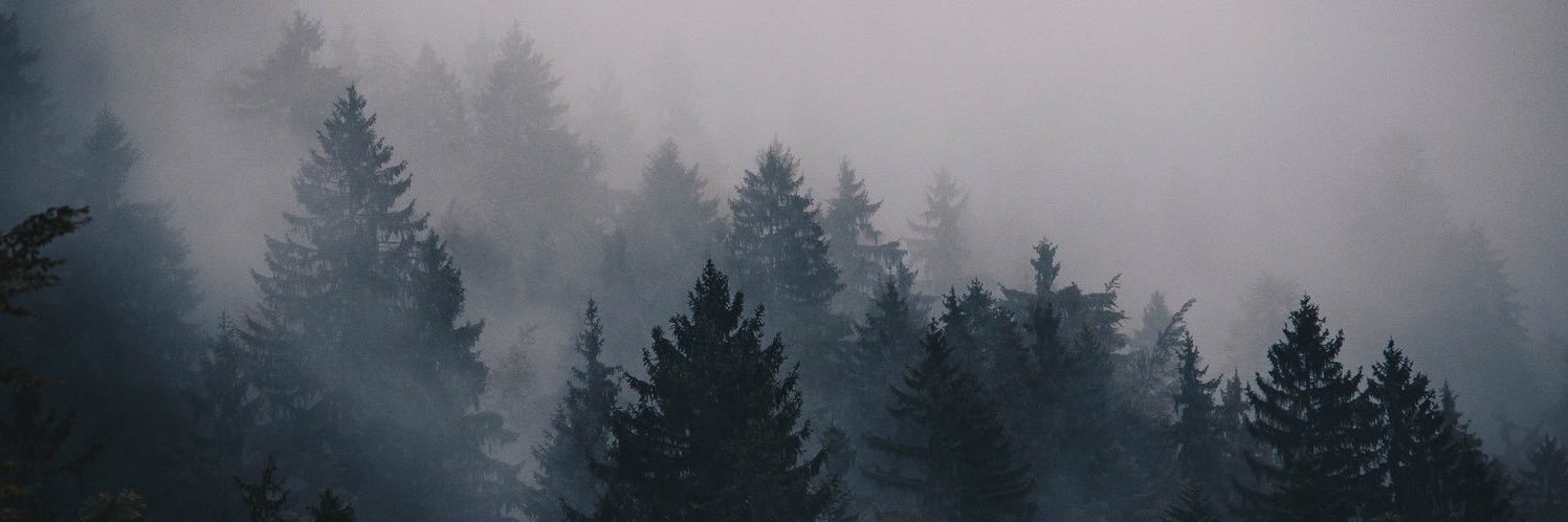 danyul2168's profile banner image