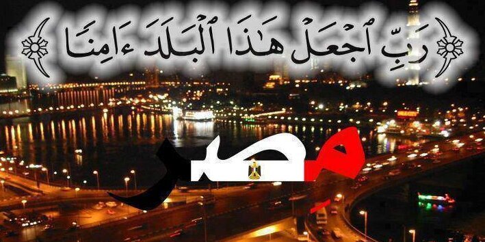 mohsen . banner