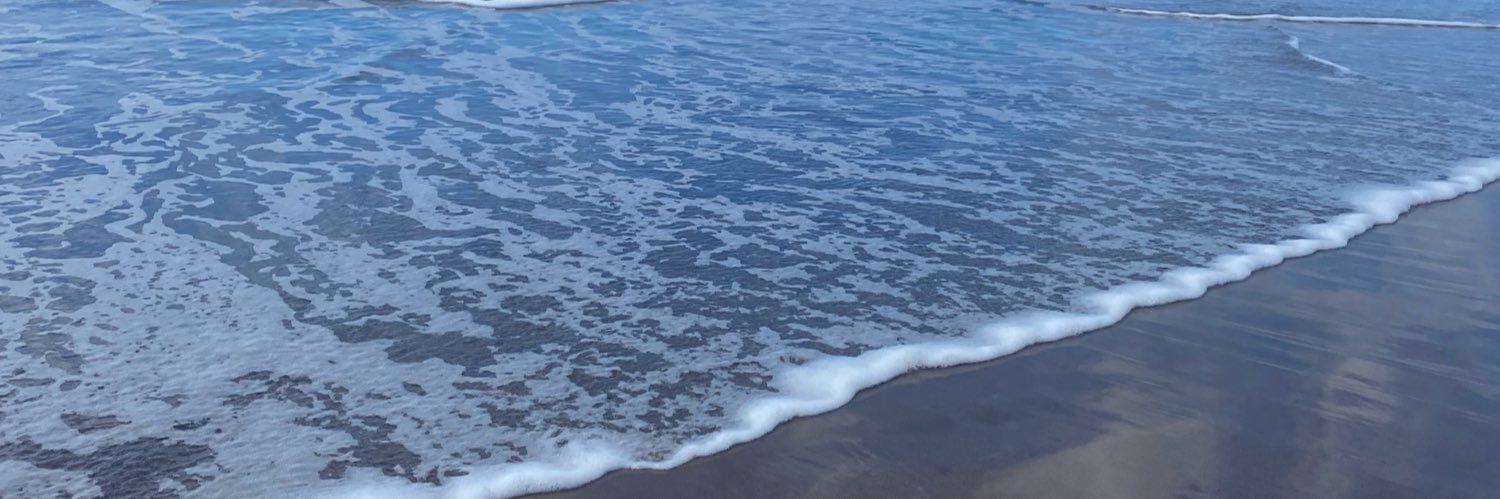 FlorPujolR's profile banner image