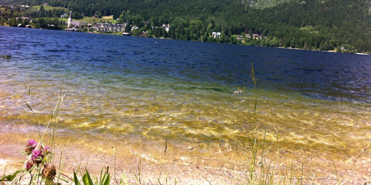 Florian Schweitzer banner