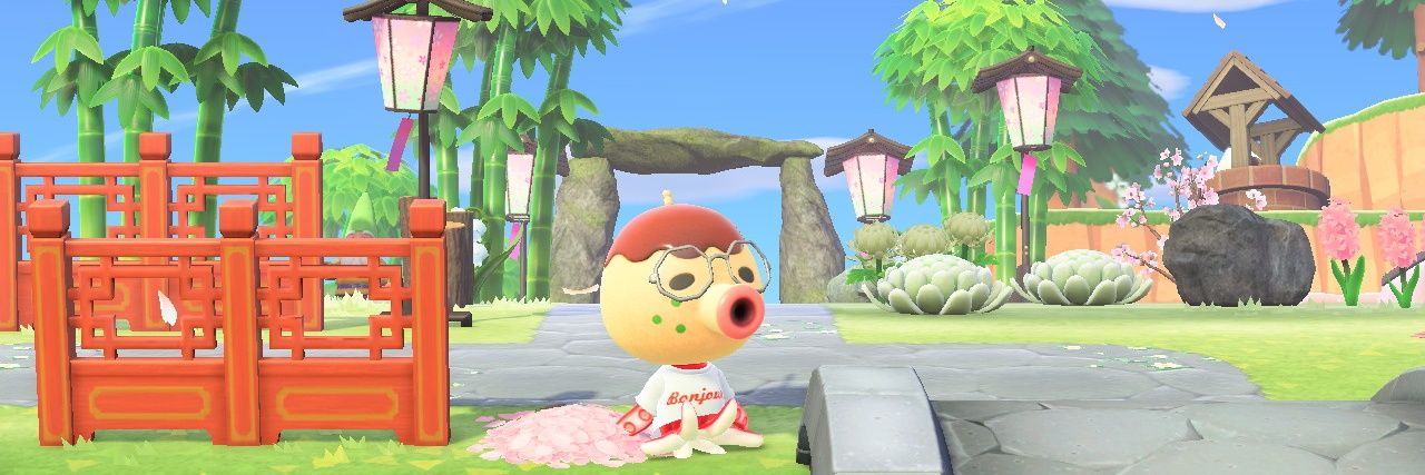 catsalami's profile banner image