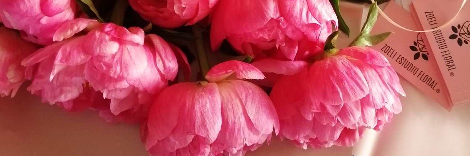 ZoeliEstudioFlo's profile banner image
