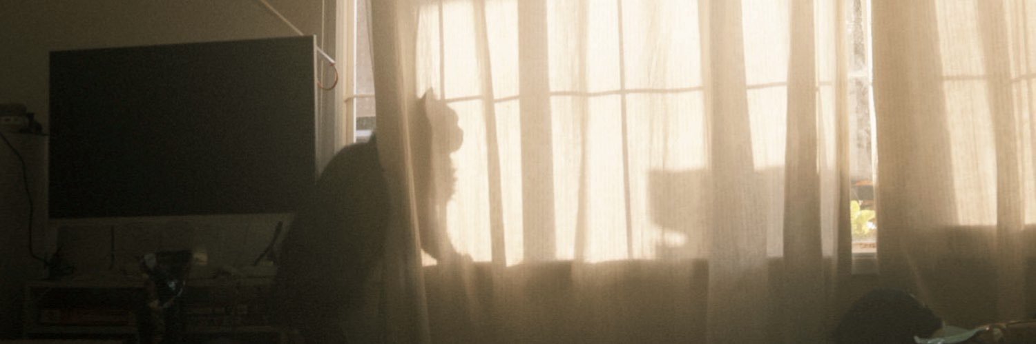 itsnorielle's profile banner image