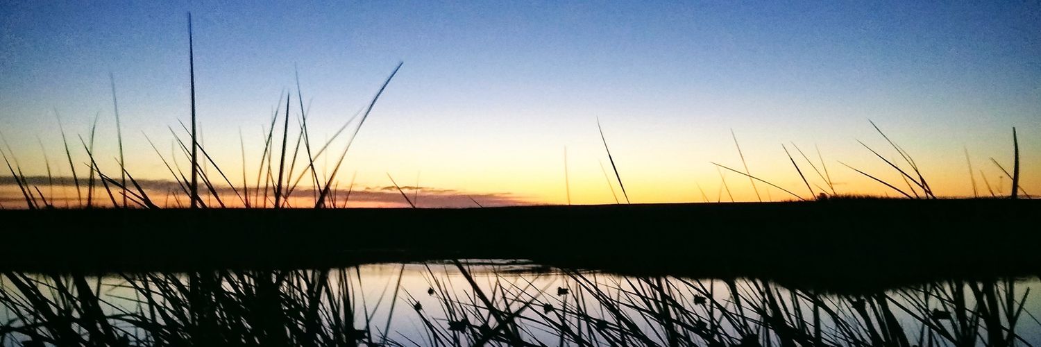 BeebsMind's profile banner image