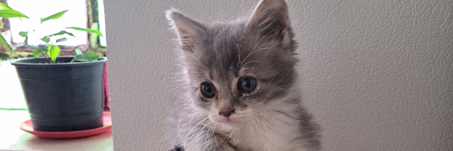 ___emiy's profile banner image