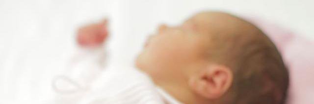 Provida España banner