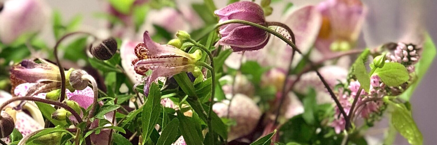 _Rju_ banner