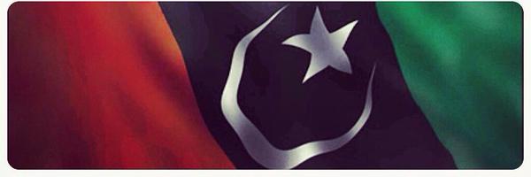 VicePresPPPP Profile Banner