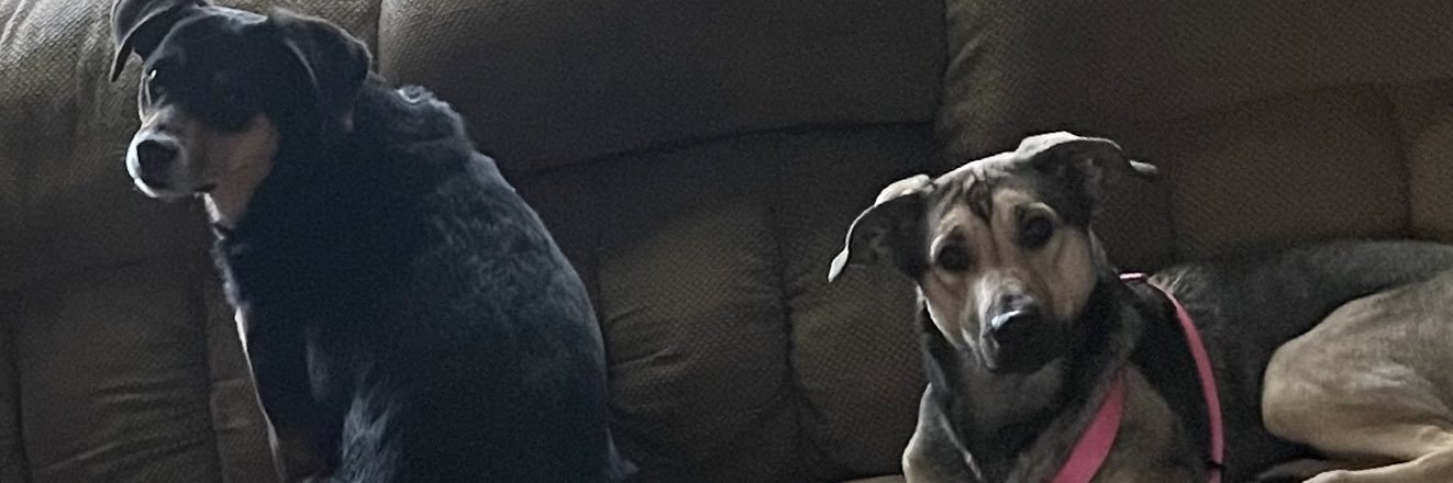 CantonGoon's profile banner image