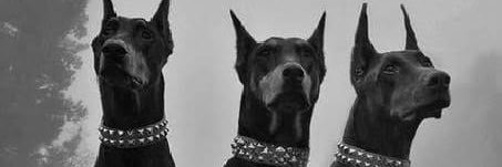 mertderIer's profile banner image