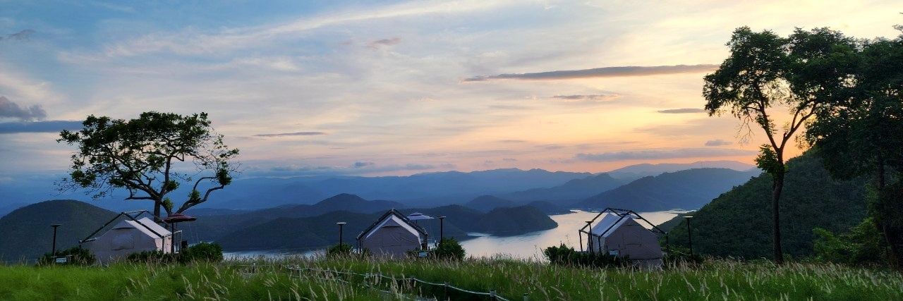 Will of the D banner