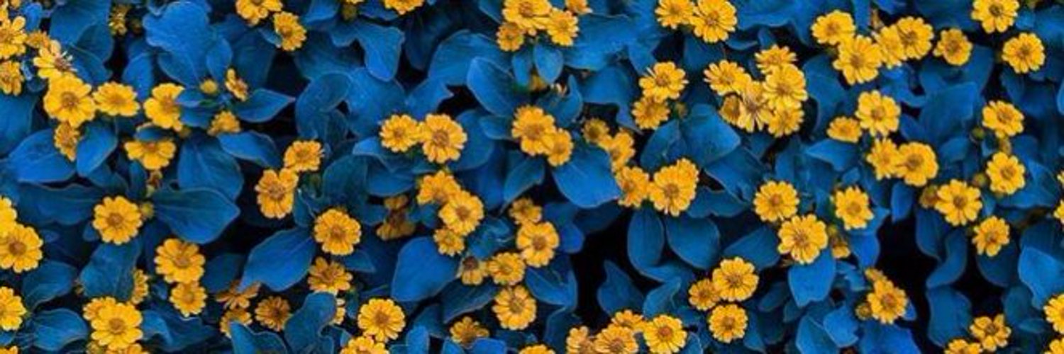 rhfrhfgk0's profile banner image