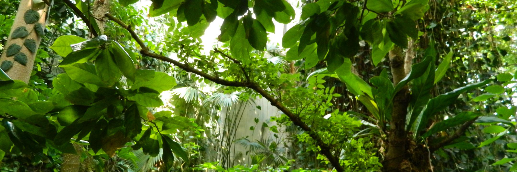 EnvironThreads's profile banner image