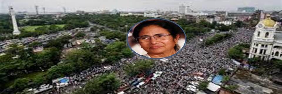 pcedubehala's profile banner image