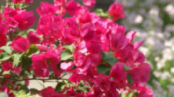 kqxmg's profile banner image