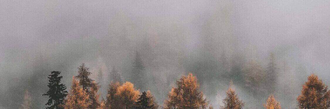 ___nome's profile banner image