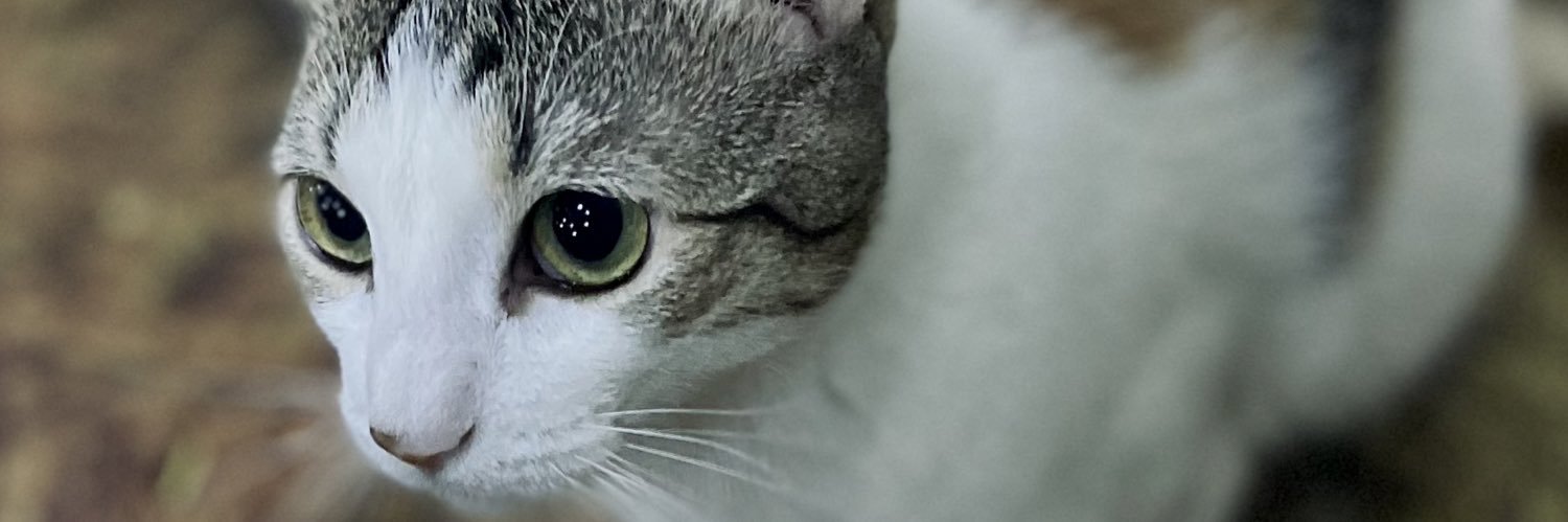 EdgarAlanRg's profile banner image