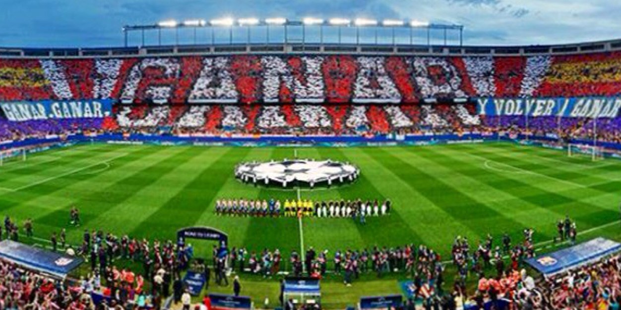 EsterCarro's profile banner image