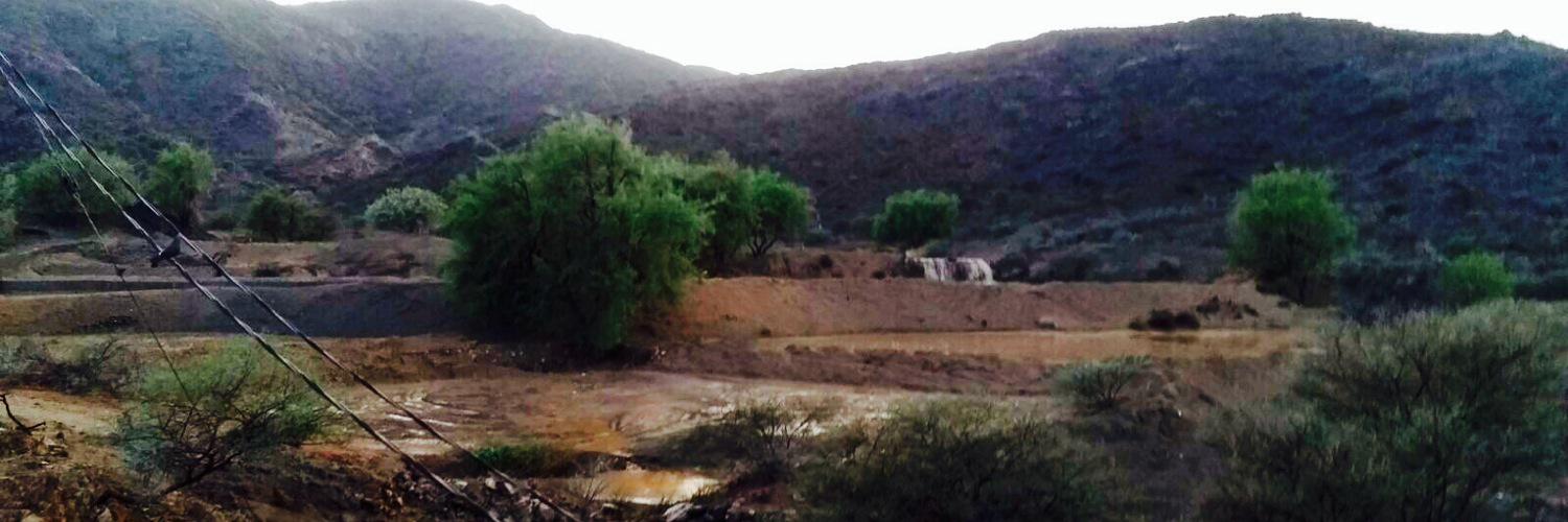 محمد ابوسدره banner