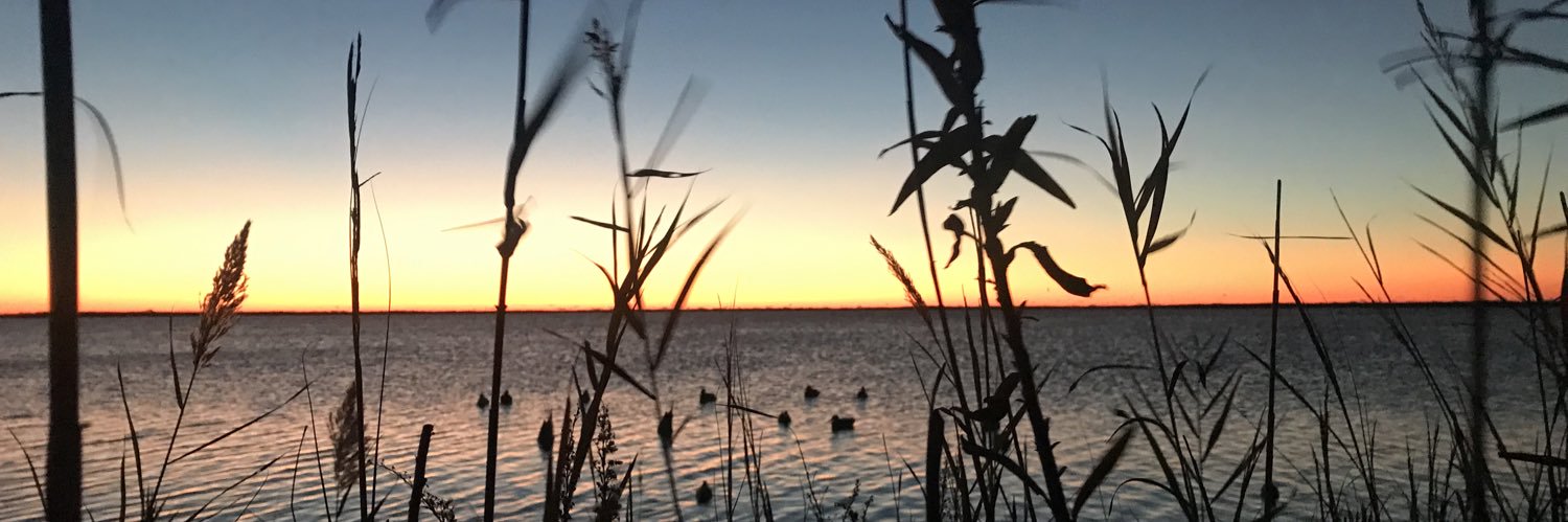 LandonBatten's profile banner image