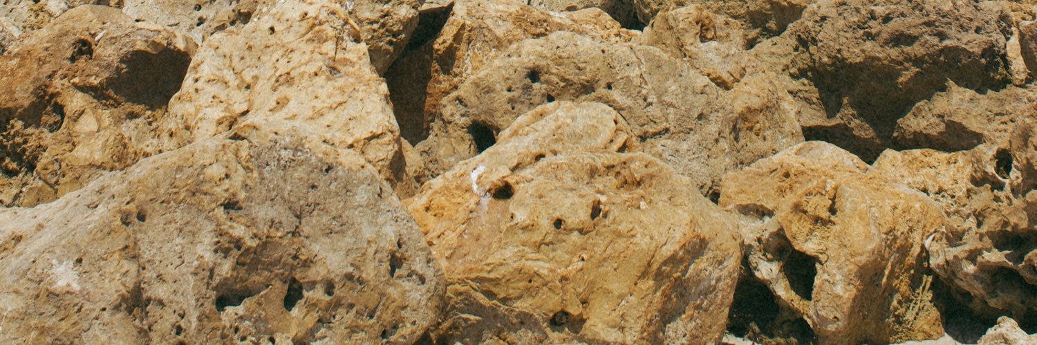 nellawellaa's profile banner image