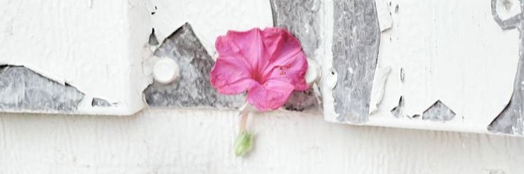 ghala5553's profile banner image