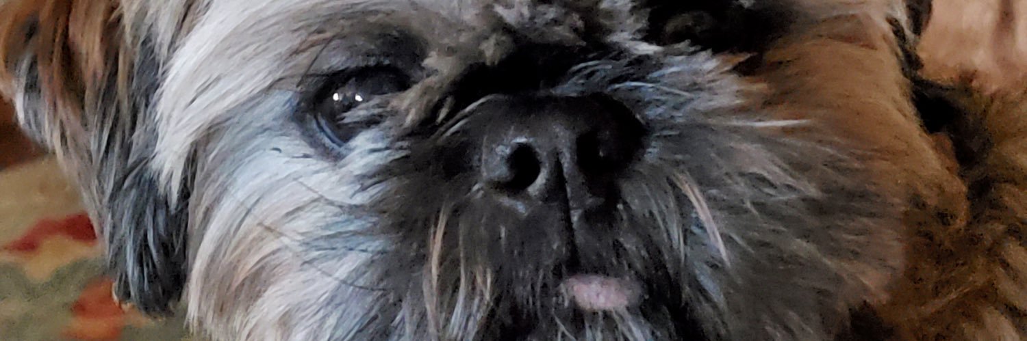dsvhr025's profile banner image