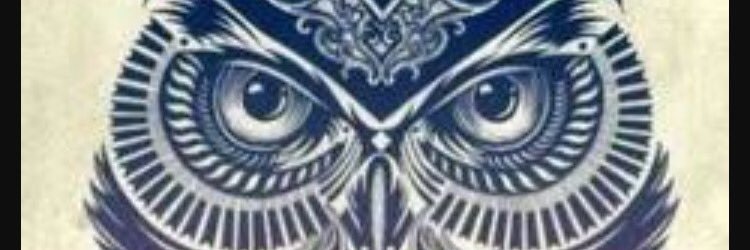 Imanol Shamon banner