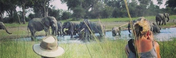 Rawbotswana's profile banner image