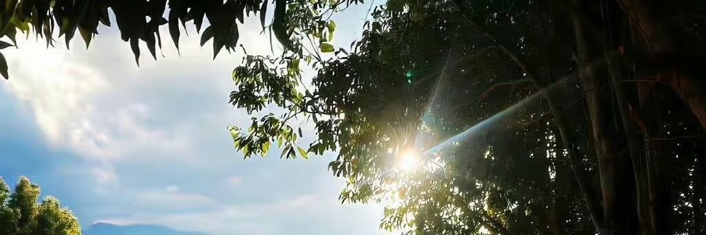aau811227's profile banner image